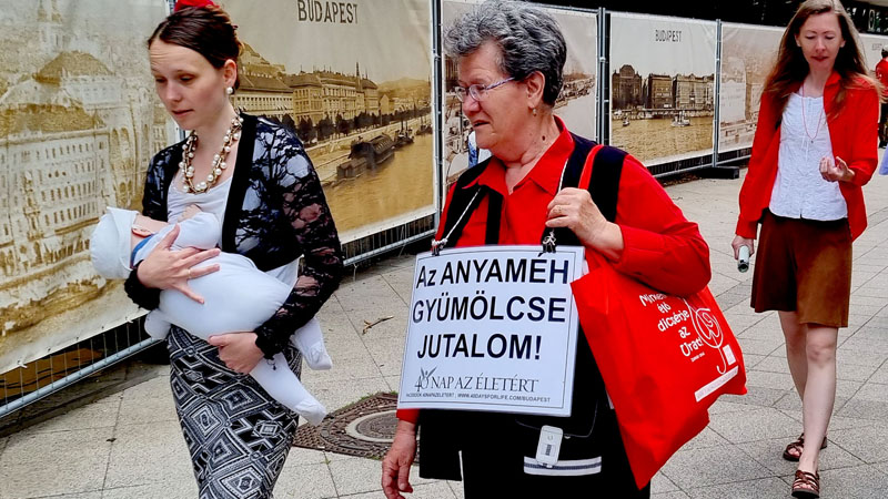 Seta az Eletert 2023 BP 8